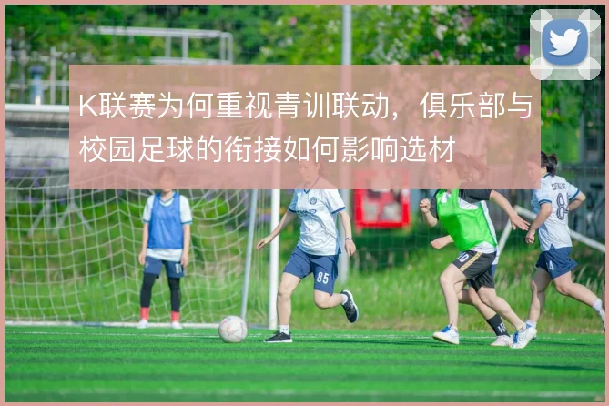 K联赛为何重视青训联动，俱乐部与校园足球的衔接如何影响选材